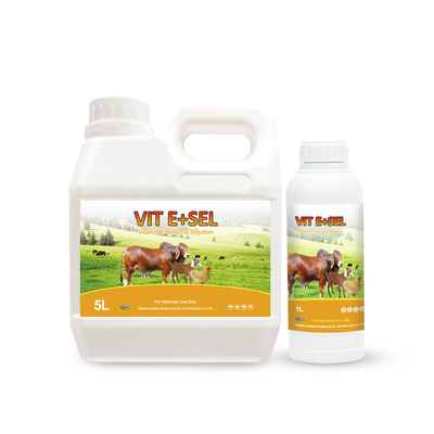 Vitamin E &amp; Selenium Oral Solution Obat Untuk Burung Kecil Kuda Kucing Dan Anjing 5L 1L