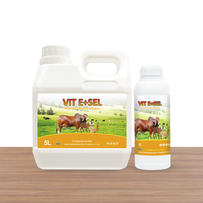 Vitamin E &amp; Selenium Oral Solution Obat Untuk Burung Kecil Kuda Kucing Dan Anjing 5L 1L