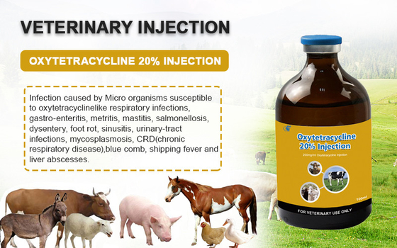 Obat Suntik Hewan Oxytetracycline HCl 20% Injeksi Untuk Ternak Domba Kambing Anjing Obat Hewan