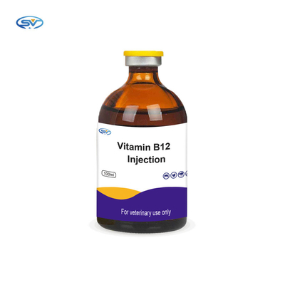 Obat Suntik Hewan Domba Inj Vit B12 Suplemen Injeksi Vitamin B12 Vitamin Untuk Kuda Ternak