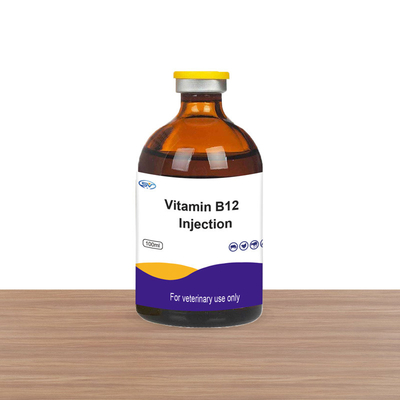 Obat Suntik Hewan Domba Inj Vit B12 Suplemen Injeksi Vitamin B12 Vitamin Untuk Kuda Ternak