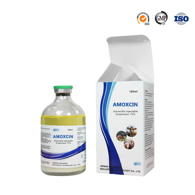 Amoksisilin Injeksi 100ml Obat Antiparasit Hewan Untuk Saluran Pernapasan Sapi