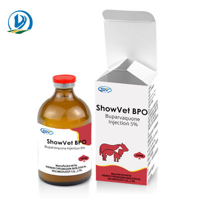 Buparvaquone Injeksi 5% Obat Suntik Hewan Untuk Sapi Sapi Domba Kambing Anjing Kucing