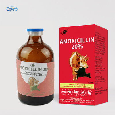 Obat Suntik Hewan Amoksisilin 20% pasokan injeksi dari produsen Cina