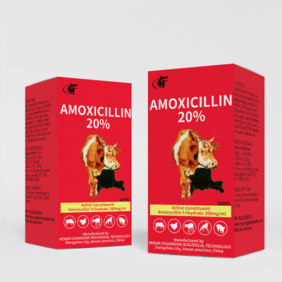 Obat Suntik Hewan Amoksisilin 20% pasokan injeksi dari produsen Cina