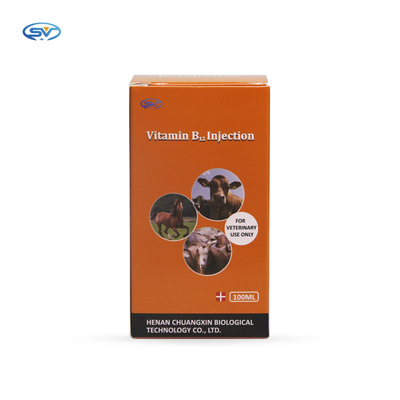 Injeksi Vitamin B12 Obat Suntik Hewan Untuk Penggunaan Ternak Peternakan Dan Unggas